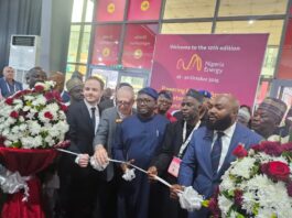 FG Mandates New Capital for DisCos as Part of Sweeping Power Sector Reform