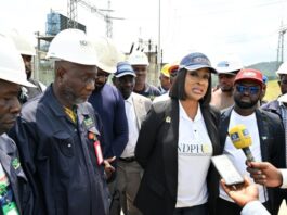 NDPHC begins routine maintenance of 430MW Geregu Power Plant