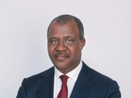 Dangote Appoints Former CBN Director, Dr Hassan Mahmud as Group Chief Economist
