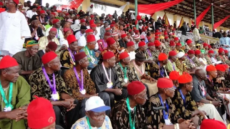Ohanaeze disowns installation of Igbo king in South Africa