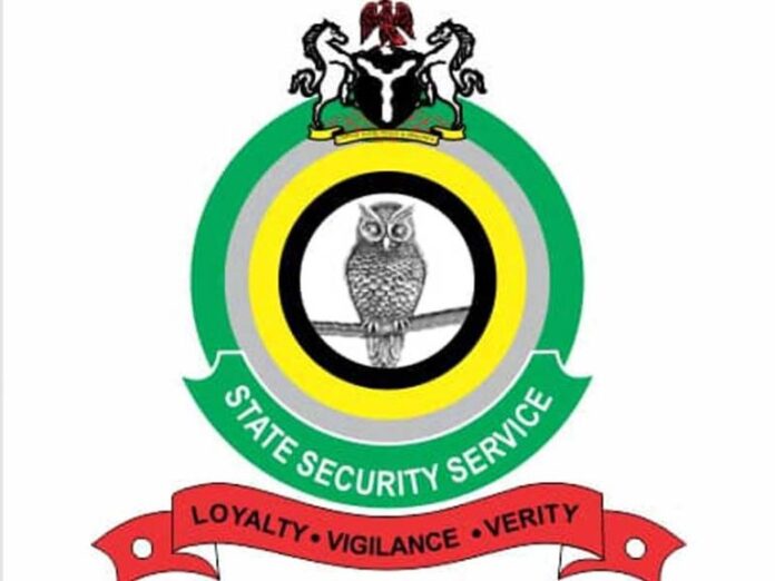 DSS-Logo-768x576