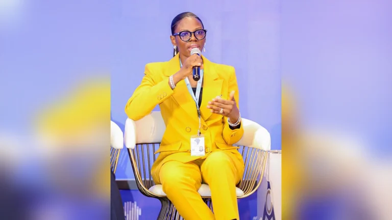 Experts Urge Nigeria to Unlock Domestic Funds for Energy Expansion